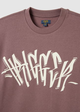 Толстовки - OVS Kids Свитшот С Флисом Для Мальчиков Moonscape 10-15 Лет