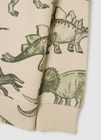 МАЛЬЧИКИ - OVS Kids Свитшот С Флисом Для Мальчиков Peyote 3-10 Лет