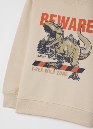 Seturi - OVS Kids Set Hanorac+Jogger Peyote Baieti 3-10 Ani