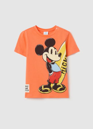 Tricouri si Polo - Polo Camellia Baieti 9-36 Luni