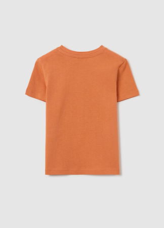 Tricouri si Polo - Polo Dusted Clay Baieti 9-36 Luni