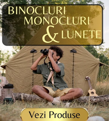TRAIESTE AVENTURA