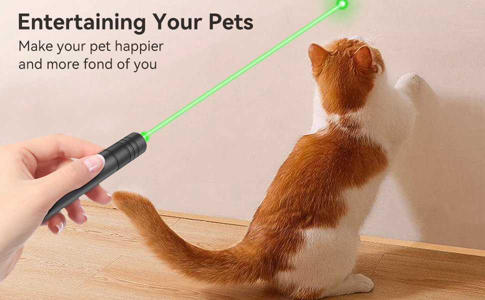 Laser Pointer