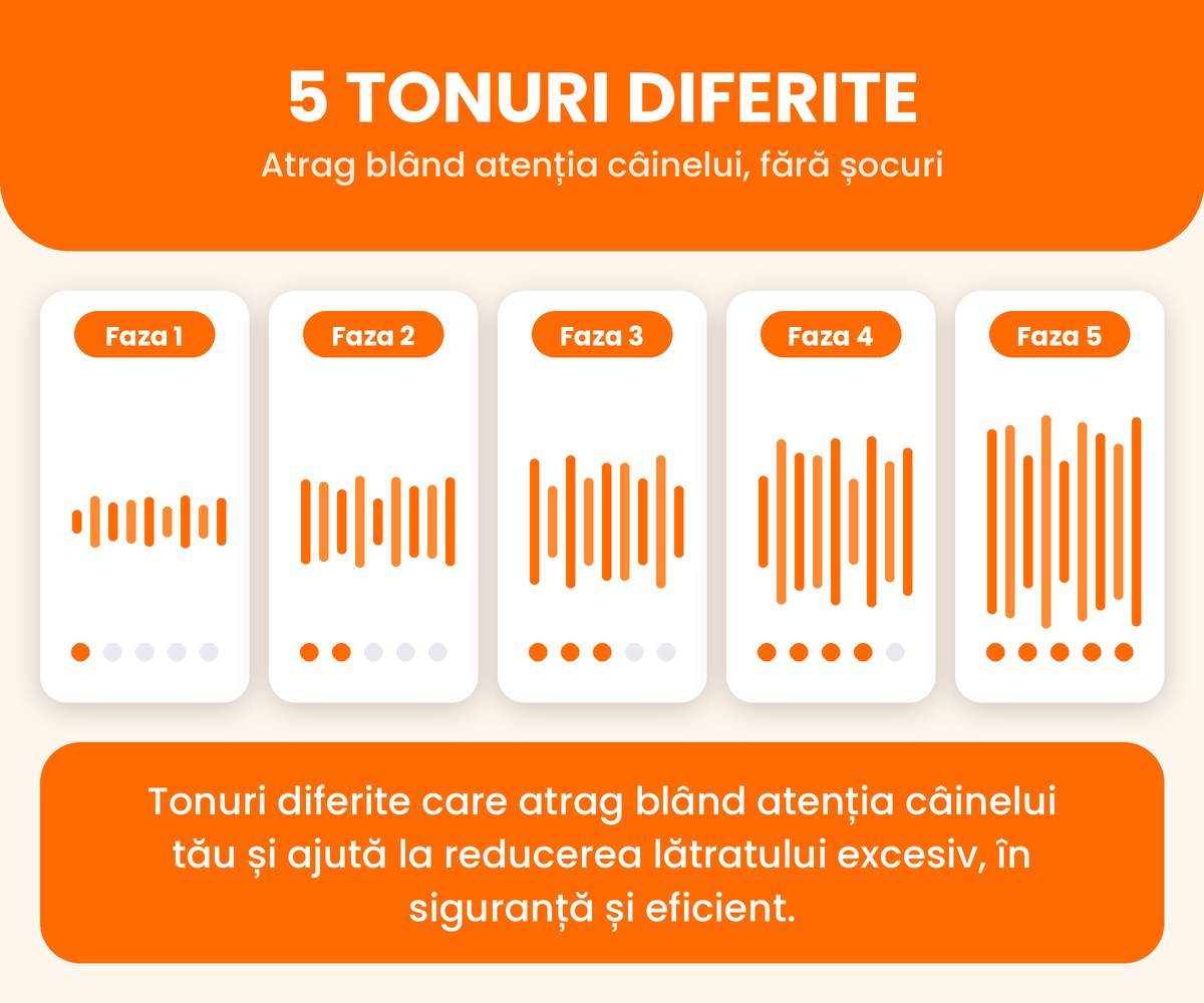 5 tonuri diferite ale zgarzii anti-latrat
