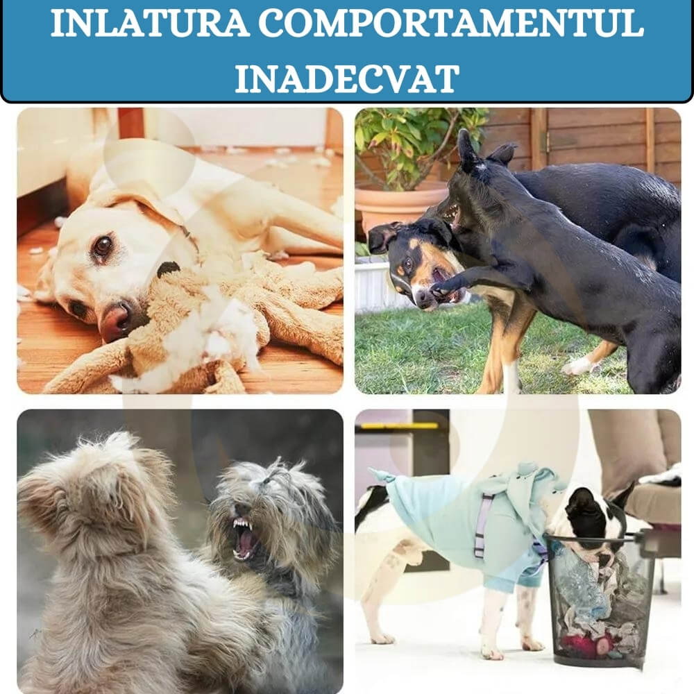 Aparat Antilatrat Ultrasunete 15m – 3 Nivele [11]