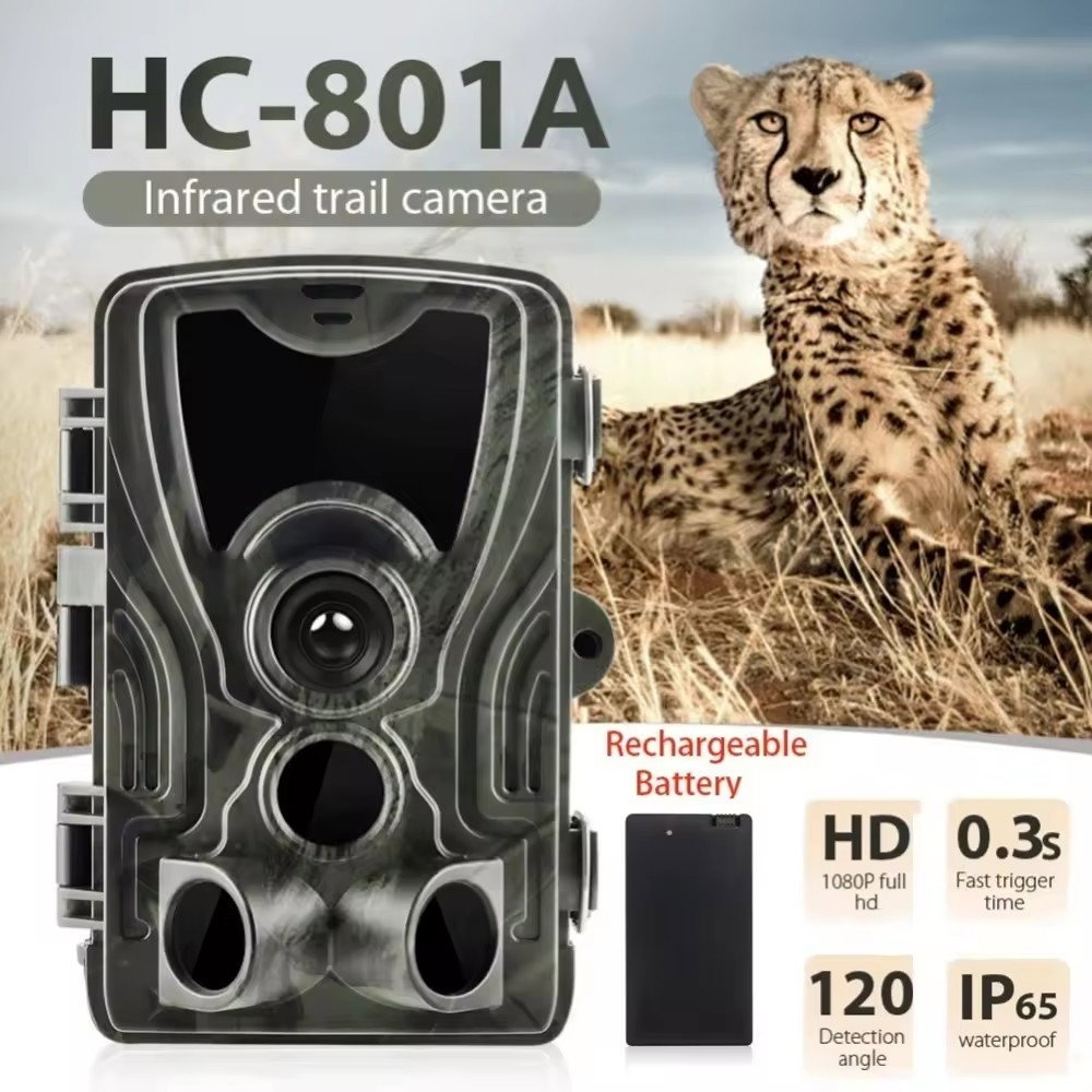 Camera de Vanatoare Full HD, 24MP, Vedere Nocturna, IP65 [7]