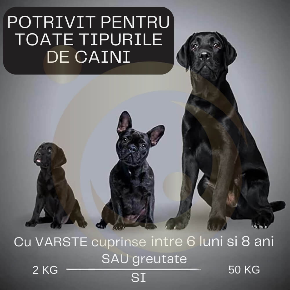 Dispozitiv Profesional Antilatrat cu Ultrasunete pentru Alungat si Speriat Cainii si Pisici [12]
