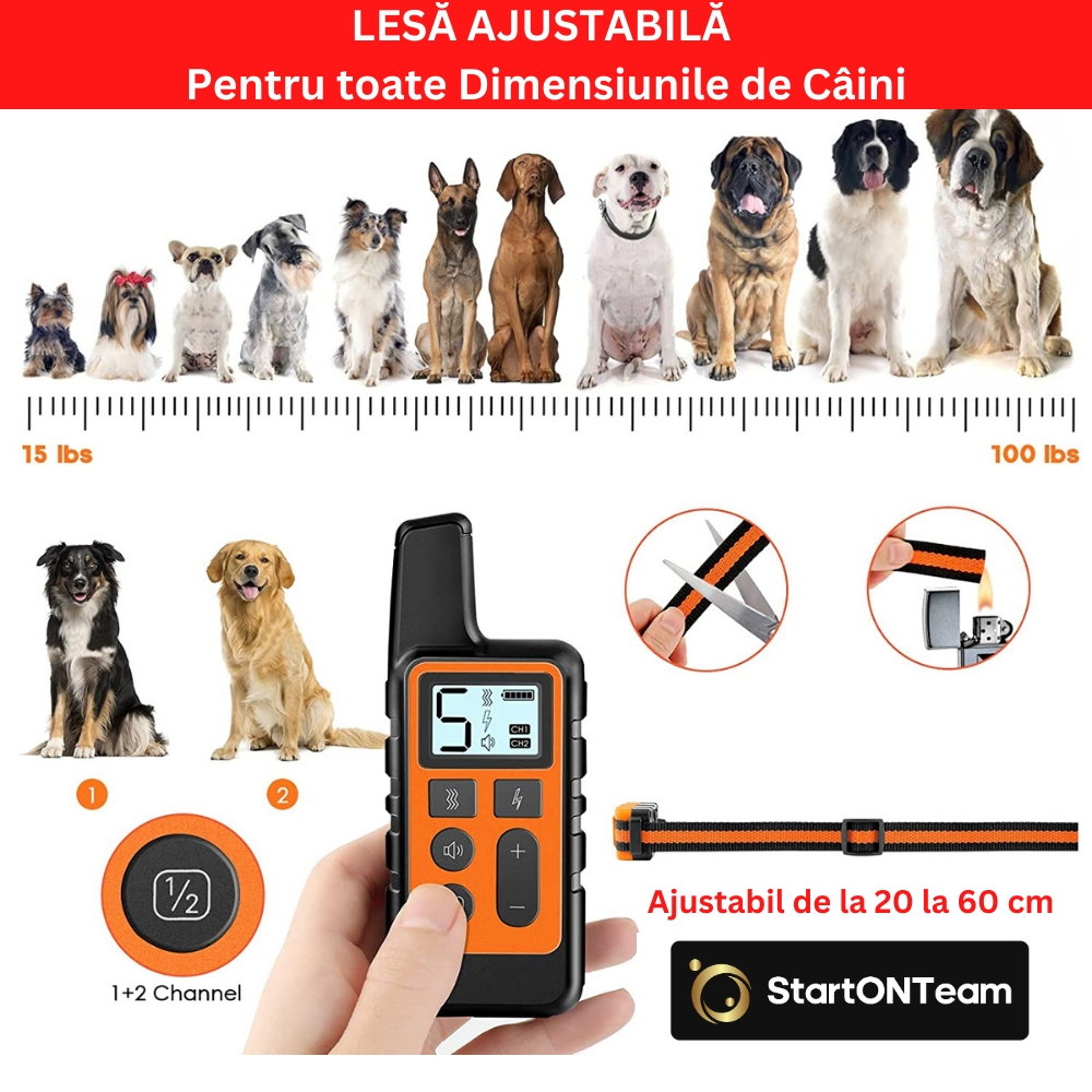 Zgardă Electrică Profesională Antilătrat pentru Dresaj [20]