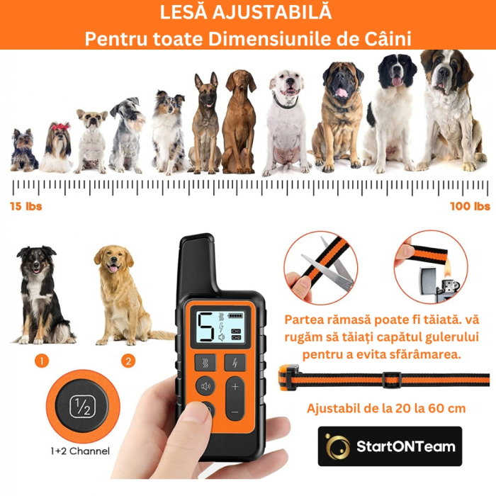 Zgardă Electrică Profesională Antilătrat pentru Dresaj [13]