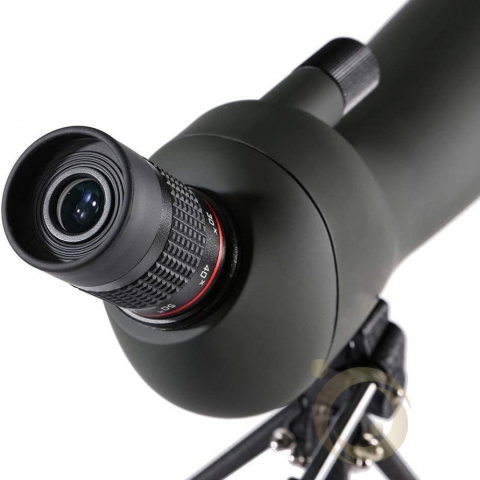 Luneta Terestra Profesionala Eagle 20-60x60 ED [18]