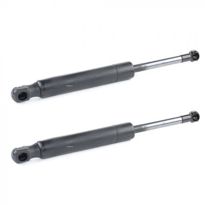 Set 2 amortizoare capota Triscan pentru Renault Latitude [1]