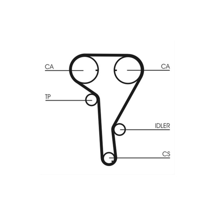 Curea Distribuție DAYCO - Opel Astra G/H/J, Zafira, Insignia (1.6 / 1.8 Benzină) - 146 Dinți [2]