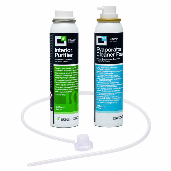 Set curatare aer conditionat Total Care menta spuma si spray 2 x 100 ml [1]