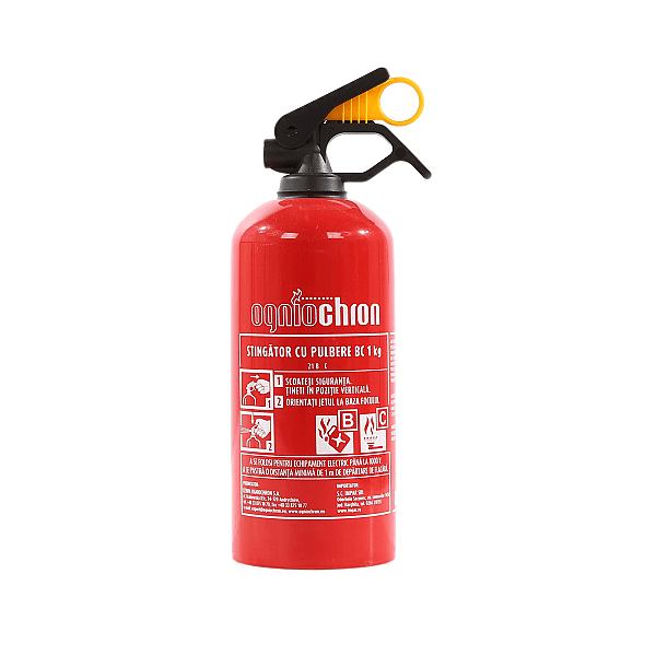 Stingator auto P1 Carmax 1kg [1]