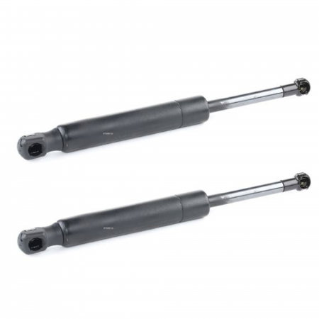 Echipamente Service - Set 2 amortizoare capota Triscan pentru Renault Latitude