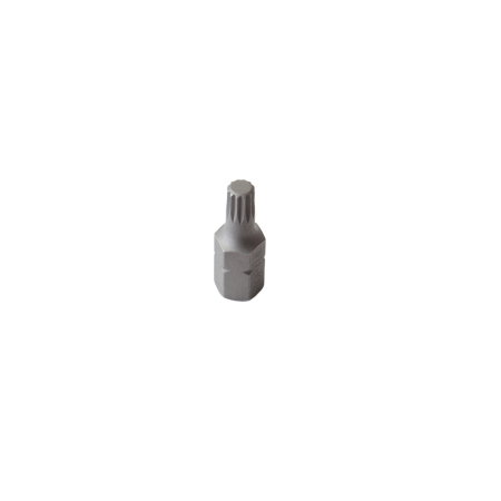 Bit torx M6 10mm [1]