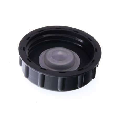 Buson vas expansiune servodirecție Renault 7700816919 pentru Dacia Logan / Sandero [1]
