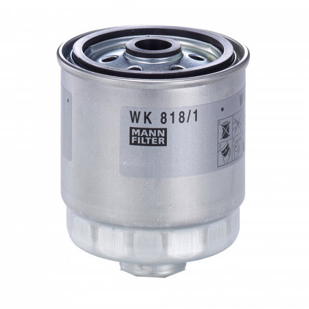 Filtre Auto - Filtru combustibil Mann pentru Hyundai Accent II, Getz, Matrix