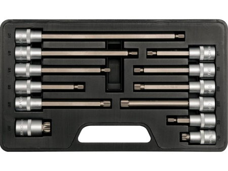 Tubulare cu torx, E-uri si hexagon (Scule si echipamente service) - TRUSA BITI 12 BUC M6-M12