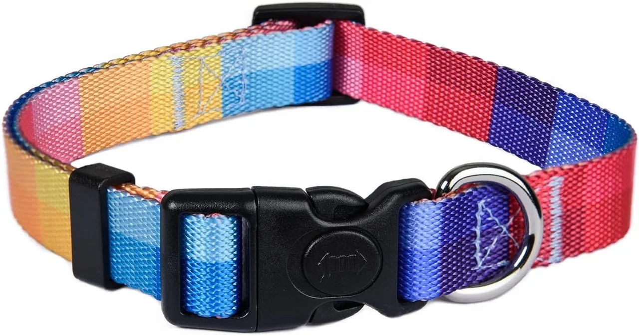 Zgarda Reglabila Pentru Caini Multicolor Marimea L [1]