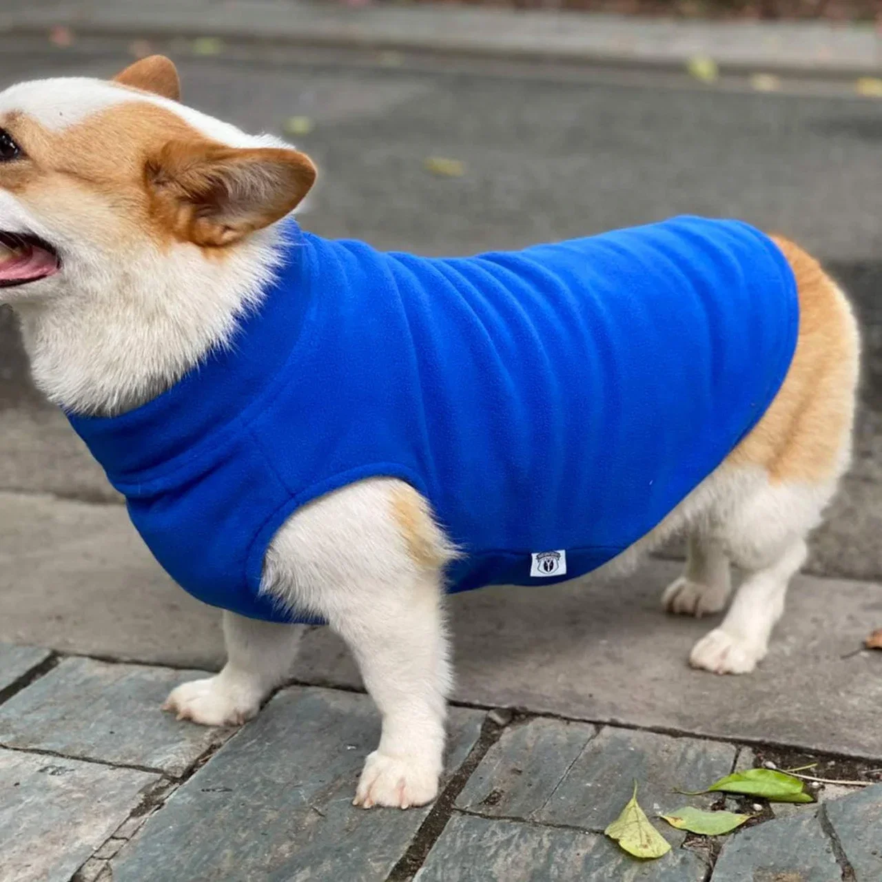 Vesta de Iarna pentru Caini Ultra Warm – Bumbac & Lana, Albastru [1]