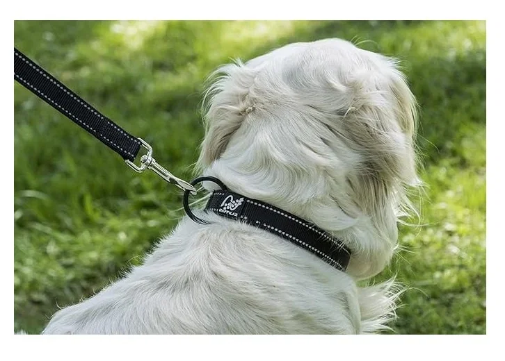 Zgarda Caine Happilax Negru, M 40-45 cm [1]