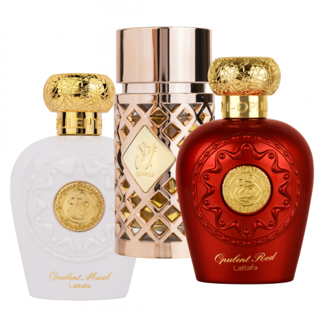 BLACK FRIDAY 2025 - Pachet 3 parfumuri Best-Seller pentru femei