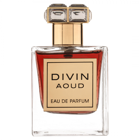 Cele mai noi - Divin Aoud 100ml - Apa de Parfum, unisex