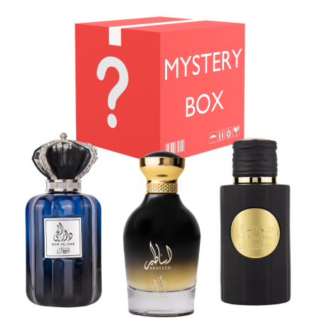 BLACK FRIDAY 2025 - Mystery Box - Barbati - Oferta 3 Parfumuri