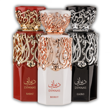 Oferta Saptamanii - Pachet 3 parfumuri unisex premium Diwani French Avenue