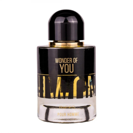 Parfumuri inspirate din: - Wonder of You 100ml - Apa de Parfum, barbati