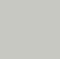 Gri (RAL 7035)
