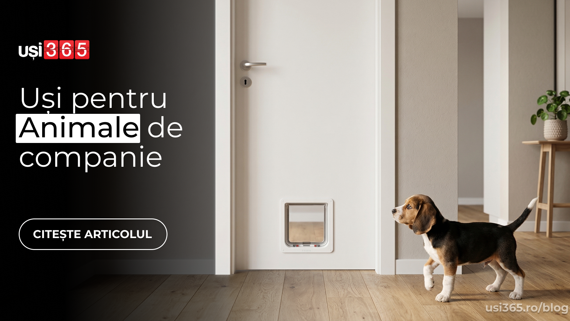 Ce uși de interior sunt bune pentru case cu animale de companie? Ghid complet USI365