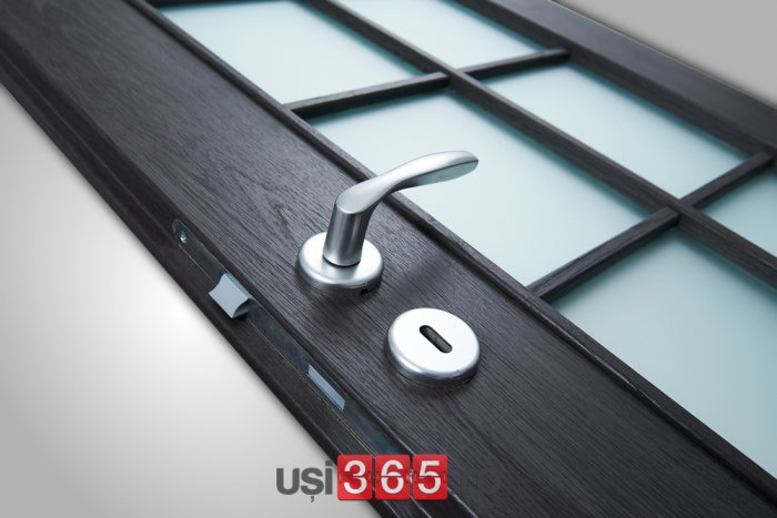 Usa HDF cu toc reglabil din MDF/PAL - Colectia VINTAGE 5.4 - Culoare Casmir [4]