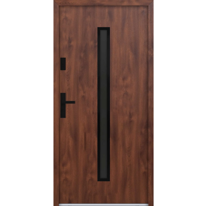 Usa Metalica din otel de intrare in casa Turenwerke ATU68 - Blackline [1]