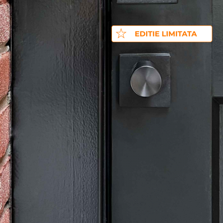 Cilindru SMART pentru usa intrare - Sistem keyless prin aplicatie [2]