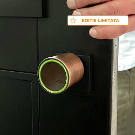 Cilindru SMART pentru usa intrare - Sistem keyless prin aplicatie [3]