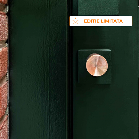 Cilindru SMART pentru usa intrare - Sistem keyless prin aplicatie [4]