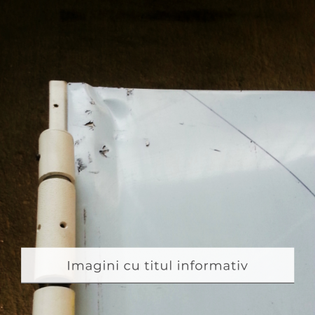 Usa Antifoc EI60/120 - Agrement montaj beton - Resigilata cu grad mediu de uzura [7]
