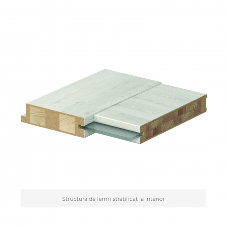 Usa de interior PORTA INSPIRE din lemn stratificat si toc cu modul retro - Model A0 [5]