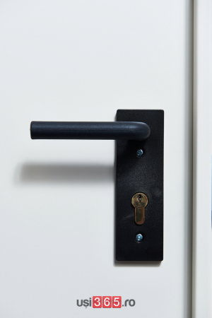 Usa metalica dubla blat 40 mm din otel multifunctionala pentru boxa RAL 9001 / Alb Crem [3]