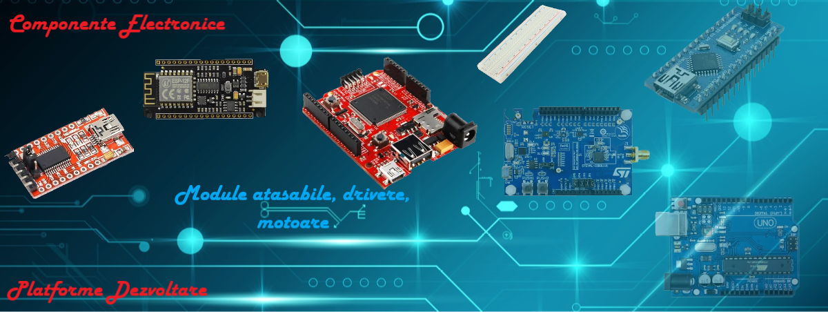 VoltMakt Platforme Dezvoltare