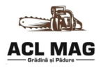 AclMag