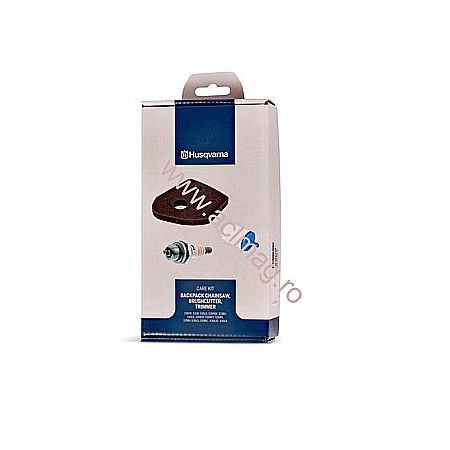 PACHETE SERVICE - Mentenanta Motoferastrau ( drujba )