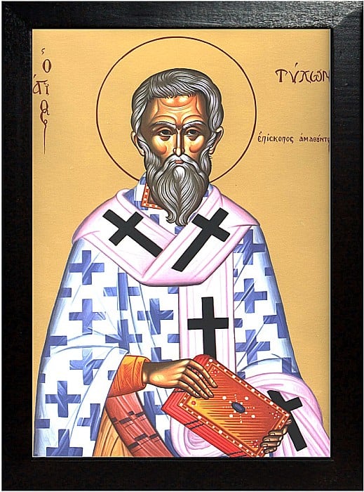 Sfantul Tihon, Episcopul Amatundei, facatorul de minuni [2]