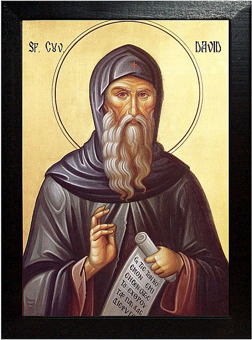 Sfintii Doctori Cosma si Damian, Sfantul Cuvios David [3]