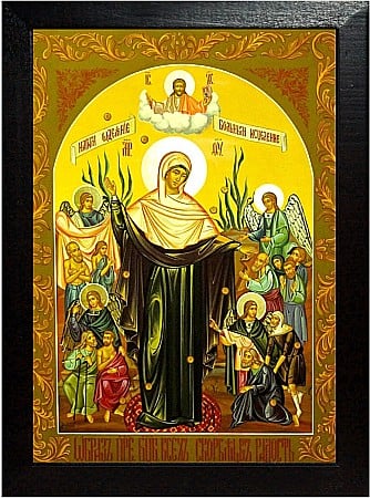 Icoane Maica Domnului - Maica Domnului Bucuria tuturor celor necajiti