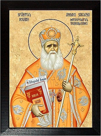 Sfinti Noiembrie - Sfantul Andrei Saguna, Mitropolitul Transilvaniei