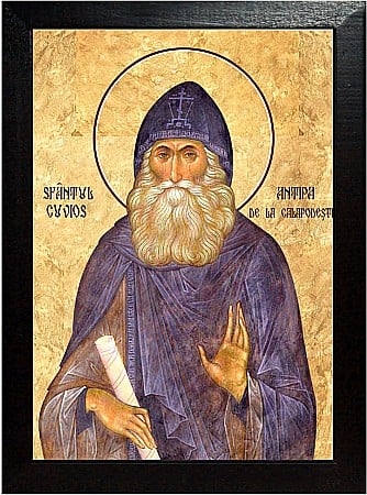Sfinti Ianuarie - Sfântul Cuvios Antipa de la Calapodești