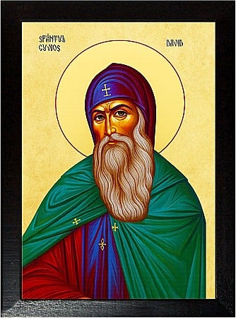 Sfinti Noiembrie - Sfântul Cuvios David din Evia